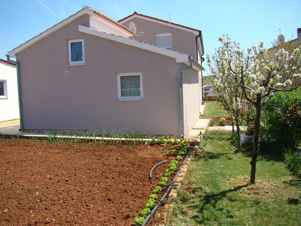 Apartment Rose PUY Rom bilde